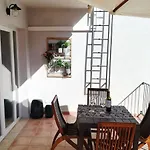 Calamilloraptm2