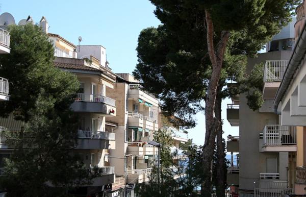 Apartment Calamilloraptm2 Cala Millor (Mallorca)